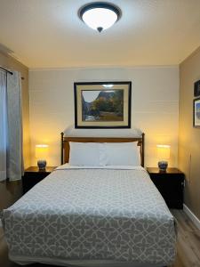 佩吉Lake Powell Motel & Apartments的一间卧室配有一张带两盏灯的床,墙上挂着一张照片