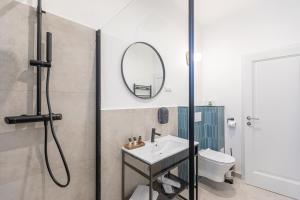布拉索夫Richter Residence的带淋浴、盥洗盆和镜子的浴室