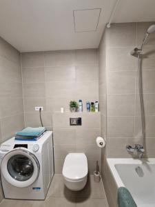 Vltava apartments的一间浴室