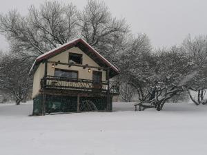 布拉索夫Casa rustica的雪中带屋顶的小房子