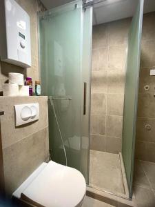 库马诺沃Apartman Nikol的一间带卫生间和玻璃淋浴间的浴室