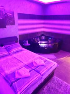 尼什Ceca Apartman的一间卧室配有一张床和一个配有粉红色灯光的浴缸