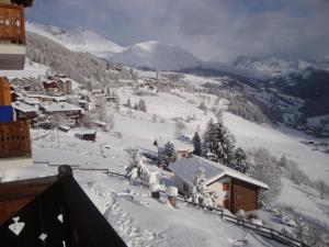 冬天的阿尔卑斯弗罗瑞酒店