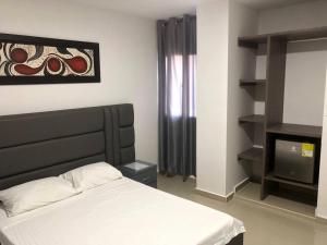 里奥阿查Hotel Don Felipe的一间卧室配有一张床和电视