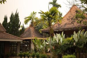 清迈ANANTAYA CHIANGMAI BOUTIQUE HOTEL的两座铺有瓷砖的屋顶和棕榈树的房子