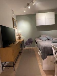 图尔库The Seaside Apartment Turku的一间卧室配有一张床和一张书桌及电视