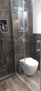 汉诺威拉特泽私人公寓的一间带卫生间和玻璃淋浴间的浴室