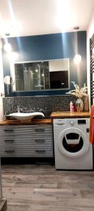 汉诺威拉特泽私人公寓的一间带水槽和洗衣机的浴室