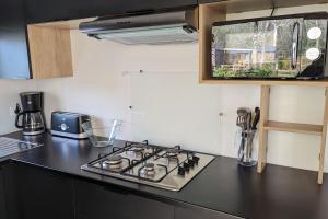 比斯卡罗斯Mobil-home Camping Mayotte 5*的厨房配有炉灶台