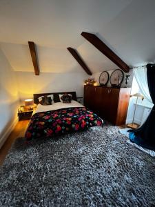 南希Villa Bonnabel的一间卧室配有一张床和一张大地毯