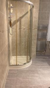 吉林汉姆Evanelly lodge的浴室里设有玻璃门淋浴