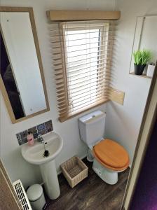 惠茨特布尔The Oyster Shell的一间带卫生间、水槽和镜子的浴室