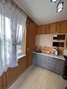 阿拉克哈济Ararat & Svetlana的一间带木墙和大窗户的厨房