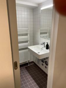 弗里堡La Sauvage的浴室设有白色水槽和镜子