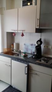 布劳恩拉格斯基维斯河畔高舍公寓的厨房配有水槽和台面