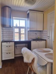 哈普萨卢马林赫姆公寓的厨房配有白色橱柜和白色水槽