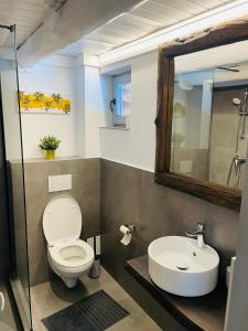 莱斯诺夫Cabana din Groapa Frumoasa的一间带卫生间和水槽的浴室