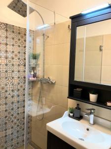 布达佩斯Citymajor Apartment-Free parking的浴室配有盥洗盆和带镜子的淋浴