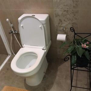 KaragampitiyaBethel Homestay的植物浴室内的白色厕所