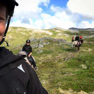 ValbergFLO Lofoten eco glamping的一群在山坡上骑马的人