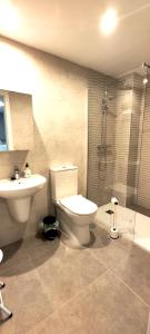 卡萨雷斯Casares Cozy Apartment的浴室配有卫生间、盥洗盆和淋浴。