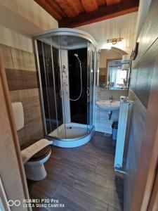 布莱德安泽克旅游农庄农家乐的带淋浴、卫生间和盥洗盆的浴室