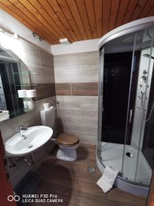 布莱德Tourist farm Anž'k的浴室配有卫生间、盥洗盆和淋浴。