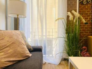 马德里Style & Design Flat in the Center of Madrid的带沙发和窗户的客厅