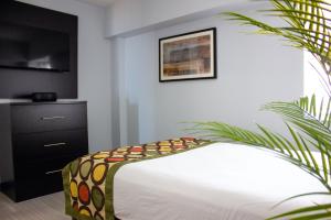 弗吉尼亚海滩Sun & Sand Resort Oceanfront Suites的一间卧室配有床和植物