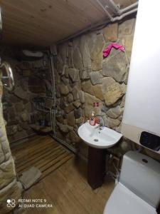 德泽姆布洛尼亚Велика Дзен Хата的一间带石墙和水槽的浴室