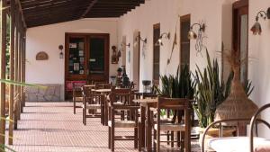科洛尼亚西扎Hotel Suizo的餐厅设有木桌和椅子,种有植物