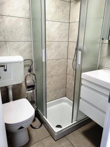 塞扎纳Prenočišča Iris的带淋浴、卫生间和盥洗盆的浴室