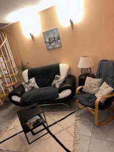 Cré-sur-LoirGîte la grande racinaie的客厅配有黑色沙发和椅子