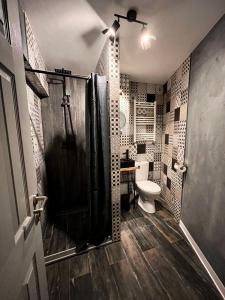 MoineştiStudio G1的带淋浴和卫生间的浴室