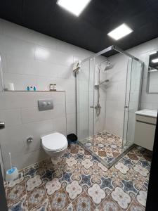 安卡拉NENEHATUN59 BUTİK OTEL的带淋浴和卫生间的浴室