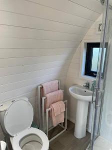 杜林Gaoth na Mara pod的一间带卫生间和水槽的浴室