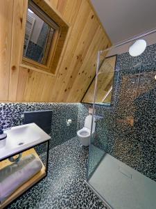 博尔沙CABANA 7 CRESTE的一间带玻璃淋浴和卫生间的浴室