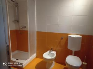 SparoneB&B Valle Orco的一间带卫生间和淋浴的浴室