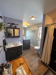 Osceola #13 Mine House的一间带水槽和卫生间的浴室