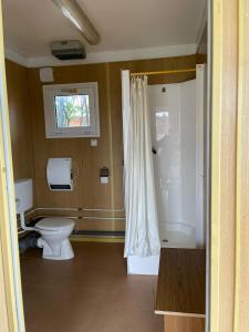 BekecsLakeSide Mobile Home & Caravan Parking的一间带卫生间和淋浴及窗户的浴室