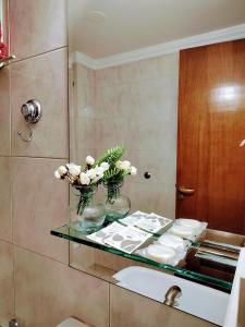 门多萨MENDOZA Suites 8的浴室设有花卉玻璃台面