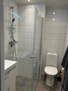 JonstorpTunnebergaBoB的带淋浴、卫生间和盥洗盆的浴室