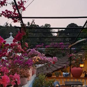 帕纳吉Afonso Guest House的从花店屋顶上欣赏美景