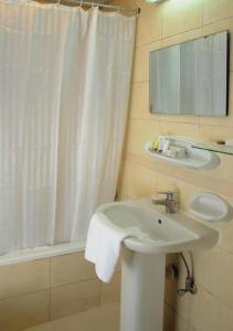 阿吉曼New Royal Palace Hotel Apartments的一间带水槽和淋浴帘的浴室