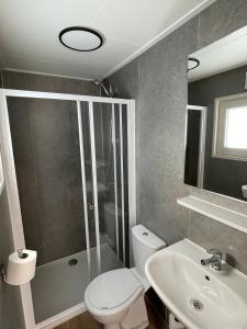 艾默伊登Zee en duin的带淋浴、卫生间和盥洗盆的浴室