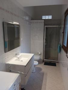 坎波内莱尔巴Villa La Pila的一间带水槽、淋浴和卫生间的浴室