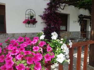 LaukizAtxispe Etxea Casa Rural的 ⁇ 上一束粉红色和白色的花