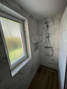 普雷德沃尔Apartmaji Seljak的带淋浴的浴室和窗户。