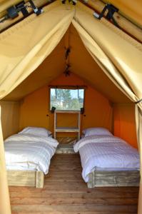 VluchtenburgSahara Stay的帐篷内的两张床,设有窗户