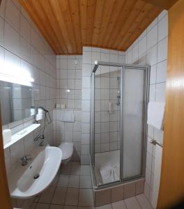 阿德蒙特迪特拉贝酒店的带淋浴、盥洗盆和卫生间的浴室